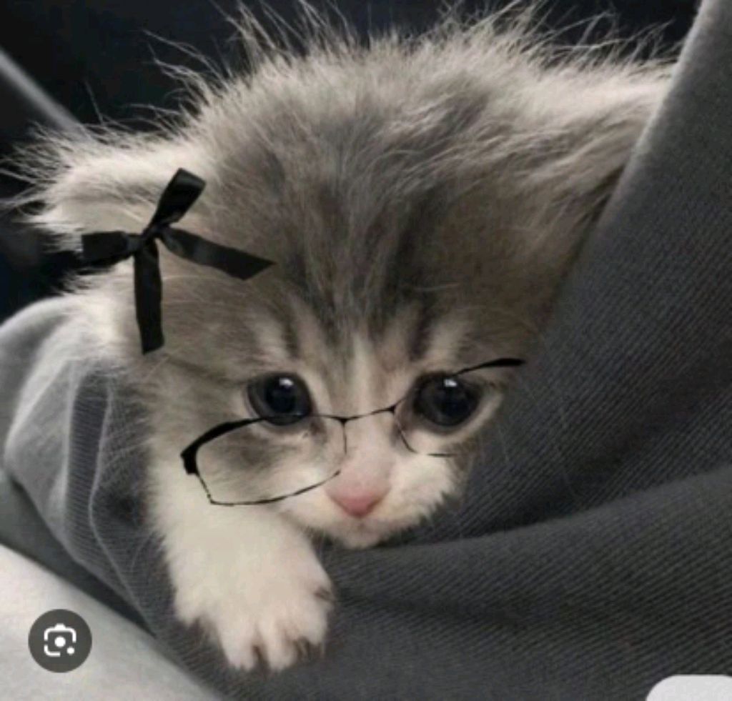 это я сейчас