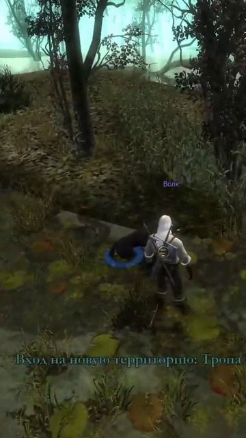 Странные волки😅 #vilmarionv #gaming #games #game #witcher #old #ведьмак #игры #nostalgia #oldgames