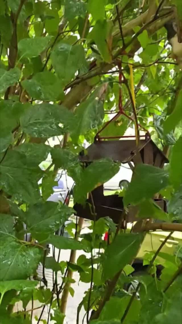 Уютный Калининград в дождливый день.🌿