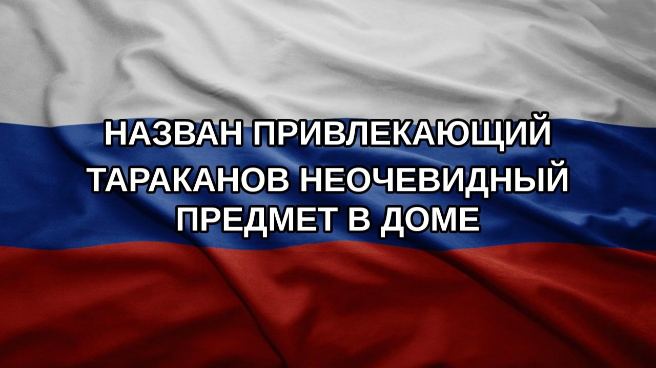 Назван привлекающий тараканов неочевидный предмет в доме