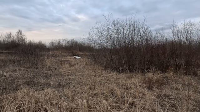 осеннее поле