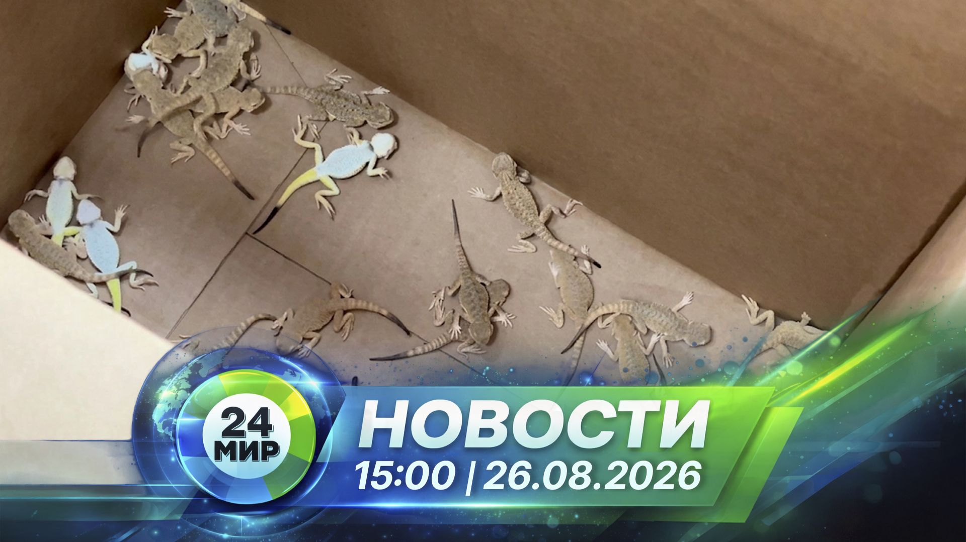 Новости 25 августа 2026 года 15:00 | Выпуск новостей | МИР 24