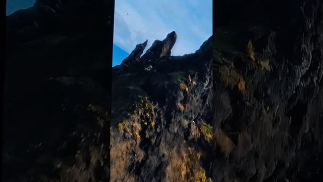 КАлининград. ВИдео на стене в МУзее мирового океана.