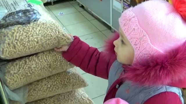 ВЛОГ Как Алиса ездит в магазин за покупками!!! VLOG Alice Goes To The Store