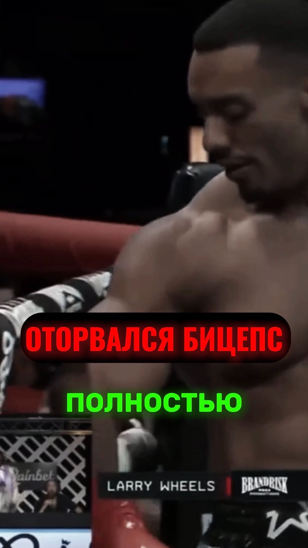 Ужасный финал боя Ларри Уилса и Виталия