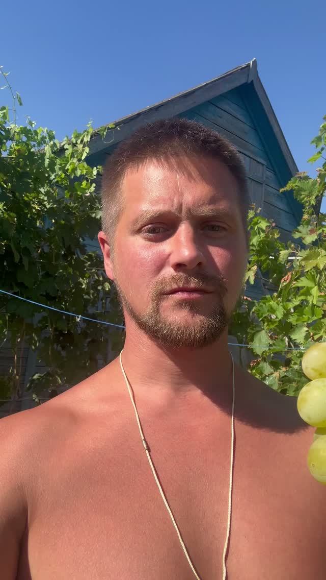 Виноград