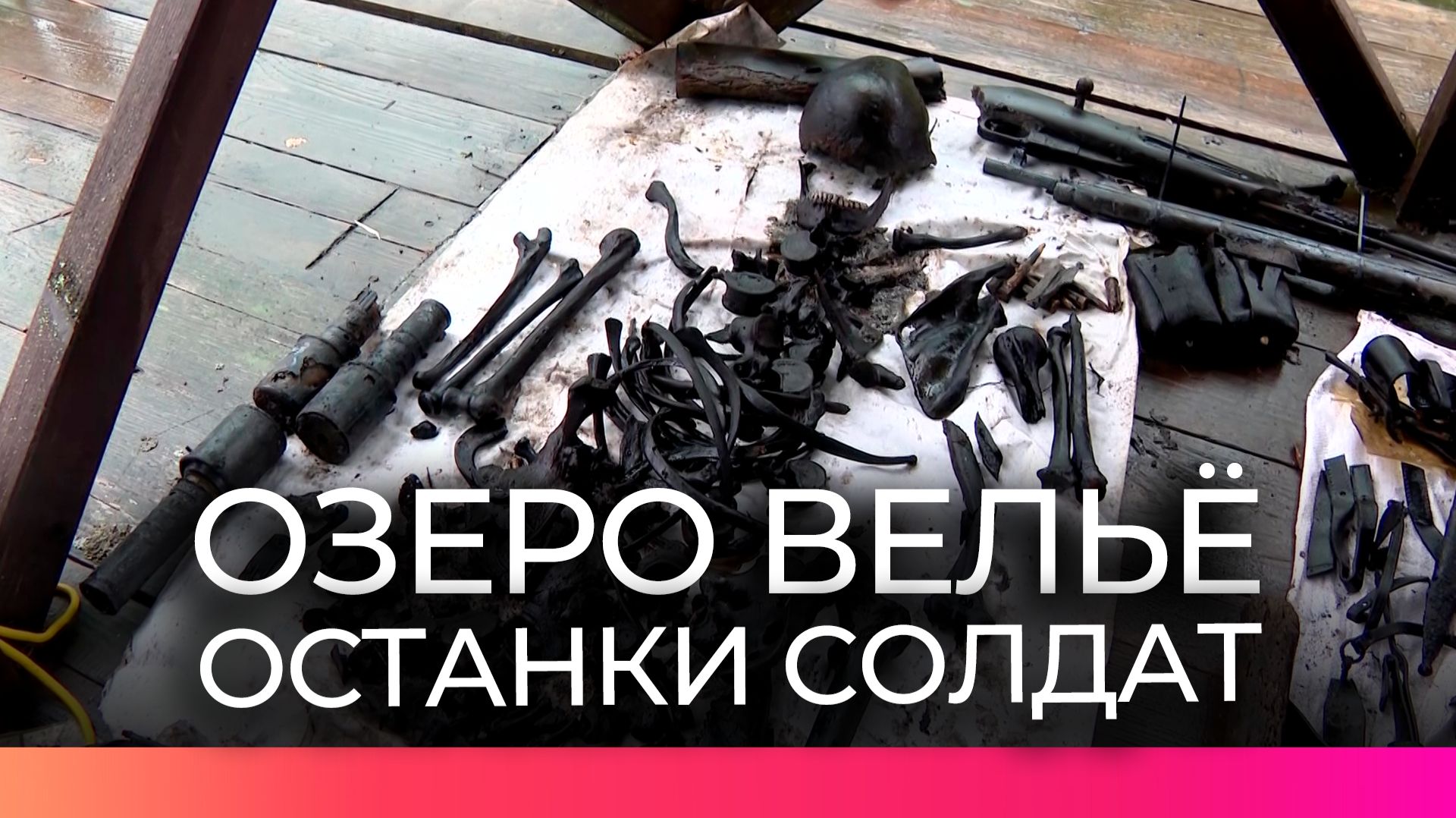 Поисковики обнаружили останки бойцов Красной армии в Демянском округе
