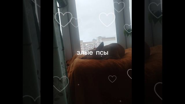 так расслабится