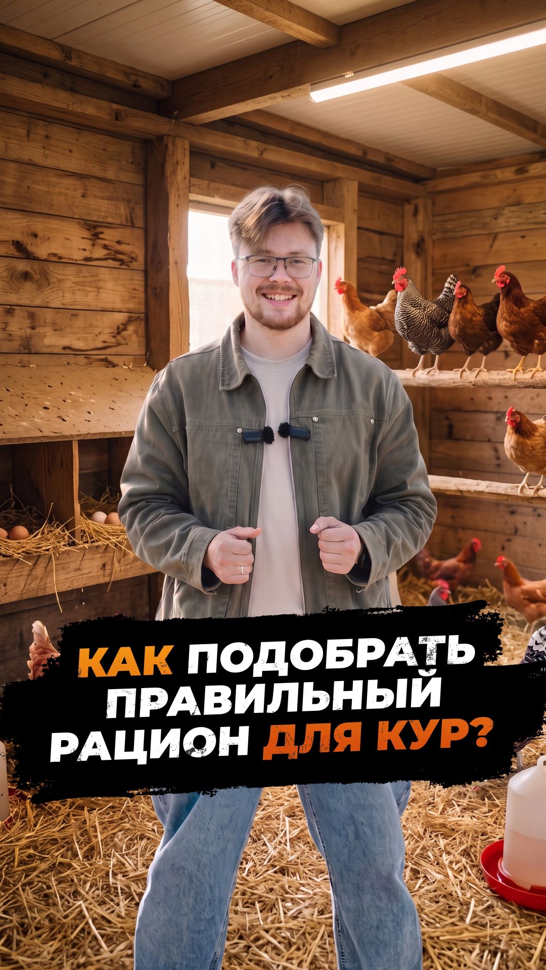 Куры стали нестись хуже? Не спешите сыпать зерно