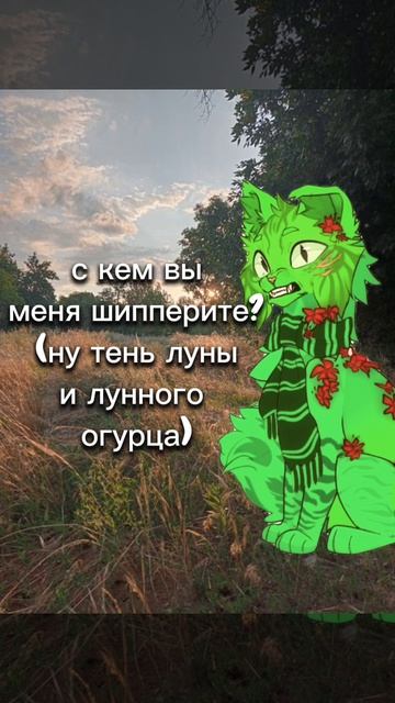 С КЕМ ВЫ МЕНЯ ШИППЕРИТЕ????