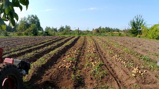 разворот с картофелекопалкой