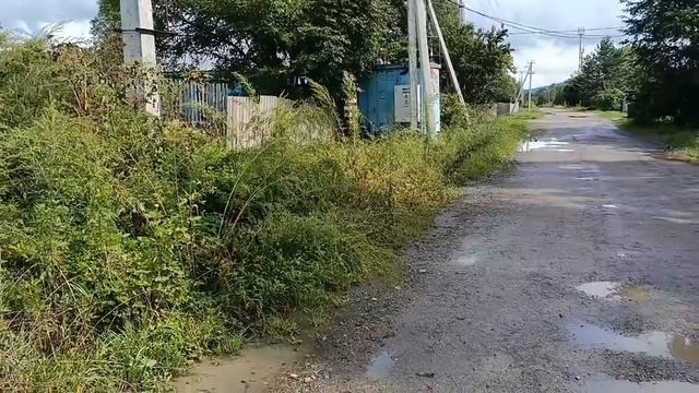 25.08.2026 Реальность Вяземского - Факты