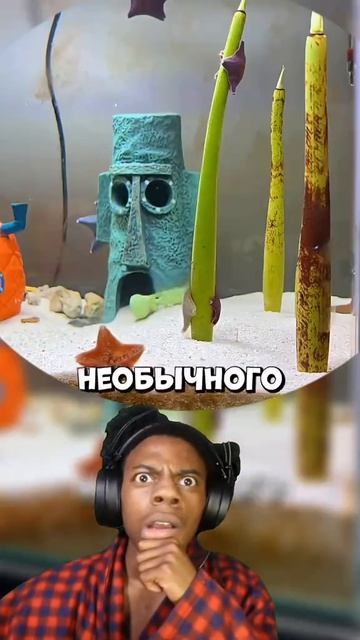 #смех#юмор#топ#рекомендации