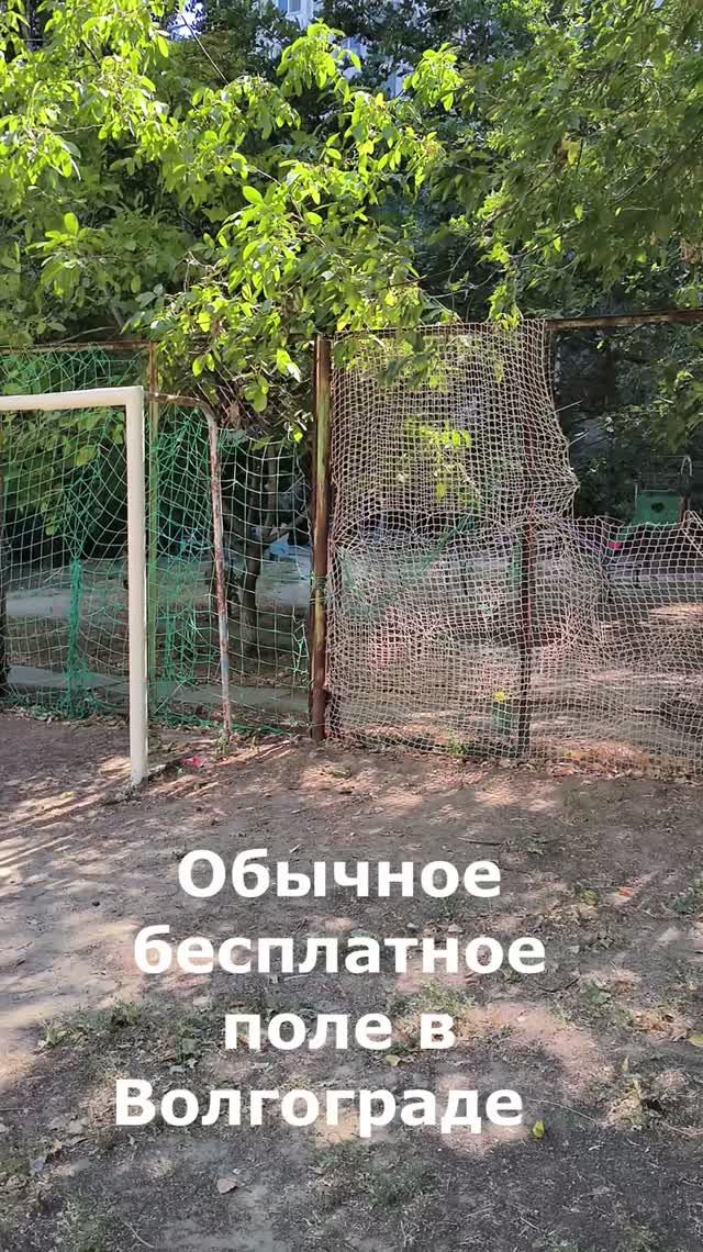 Это какой-то позор