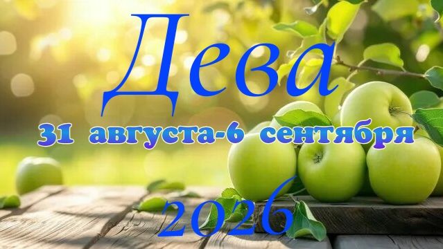 Дева♍Таро-прогноз на неделю с 31 августа по 6 сентября 🕊️
