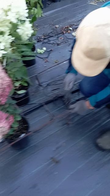 Продолжение вчерашнего видео.