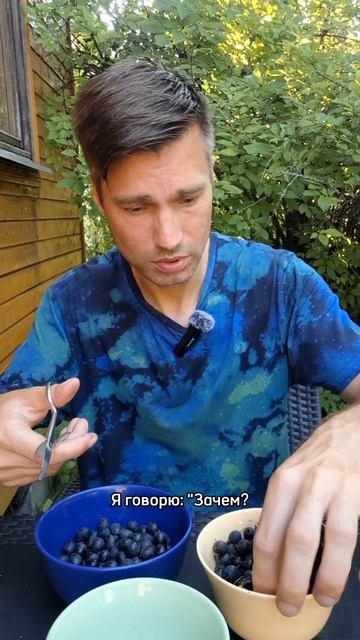 Чистил крыжовник – разблокировал воспоминания)