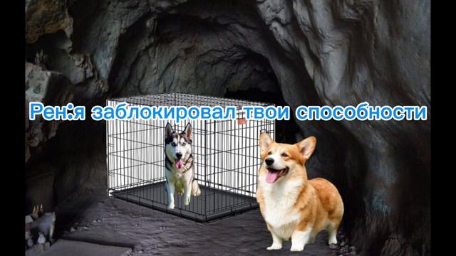 фильм 
