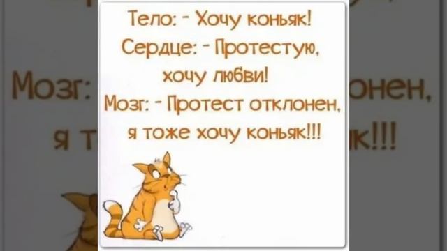 Коньяк . Юмор