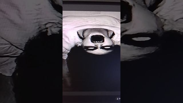 ужас. офигеть. страшно. жутко. Господи убери.