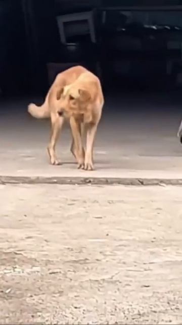 Туц тац туц тац