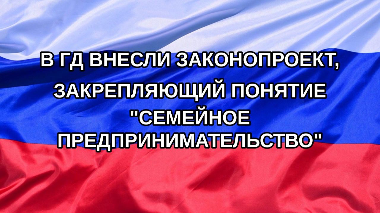 Н. РФ В ГД внесли законопроект закрепляющий понятие семейное предпринимательство
