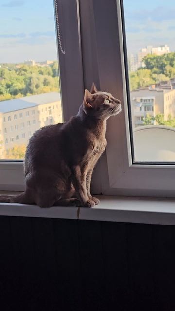 Кайфовайте пока тепло #август