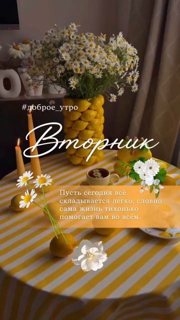 Тaарелки 20см Лимоны #882592864 
#посудаpinterest#распаковка#посудаpinterest#тренд