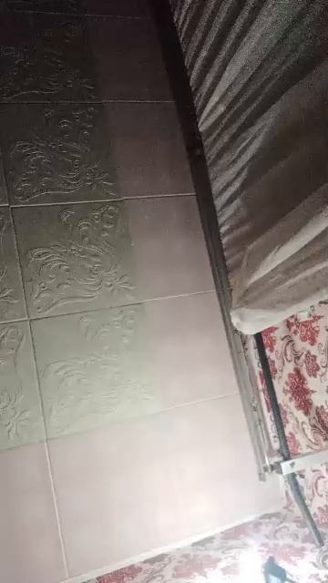 Заходите заюшанки
