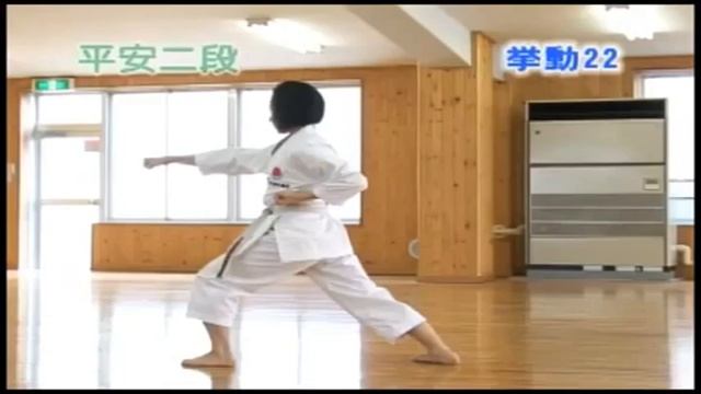 Basic Shotokan JKA-Vol1