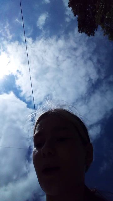 VID_20260825_132011.3gp