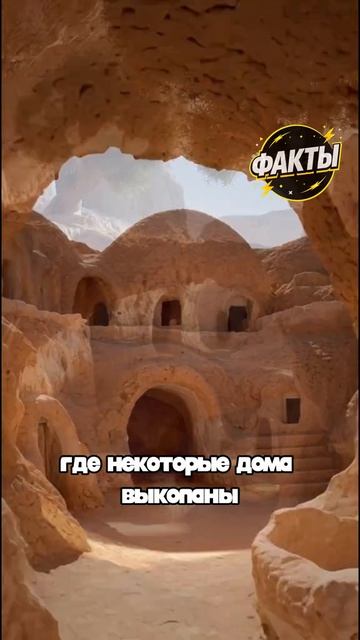 10 фактов часть 55