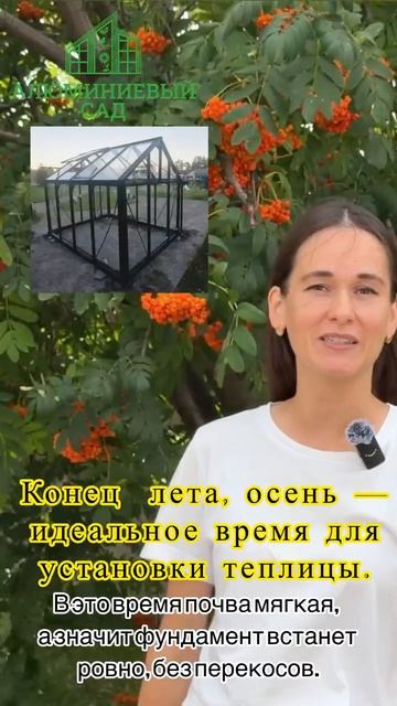 Лучшее время для покупки теплицы