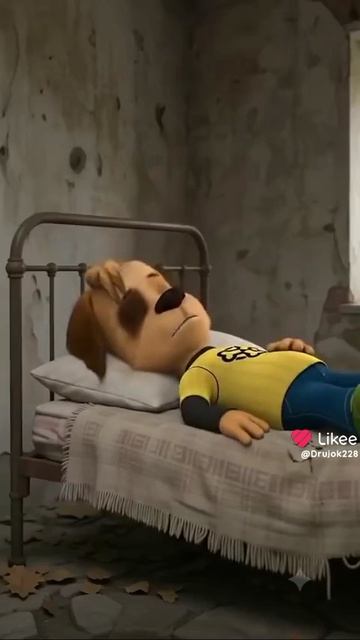 1960.mp4