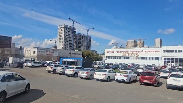 Алтын Т-обзор