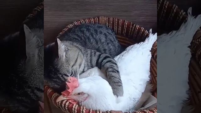 БЫВАЕТ