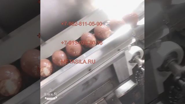 Полностью автоматическая линия для мойки куриных яиц Z21X