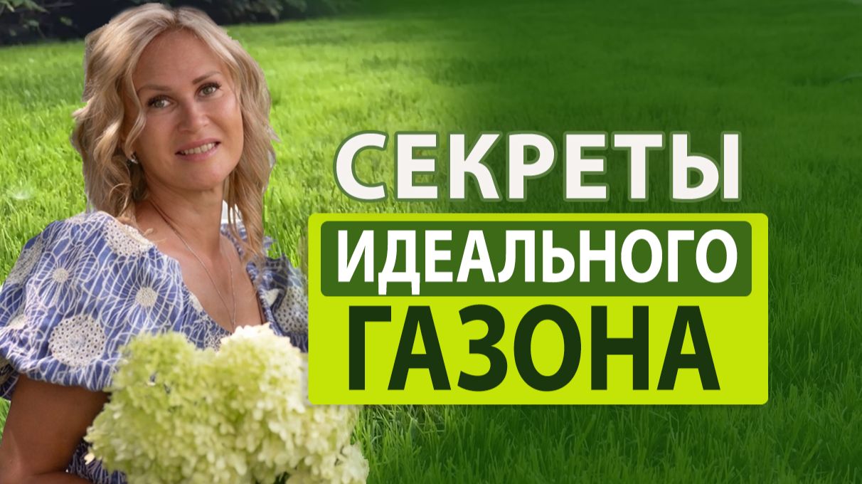 Идеальный газон за копейки: ошибки и главные секреты