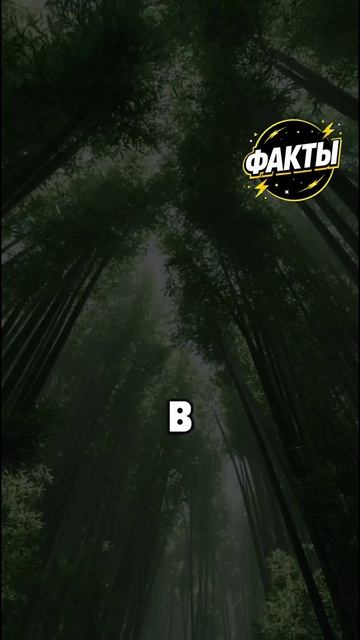 10 фактов часть 90