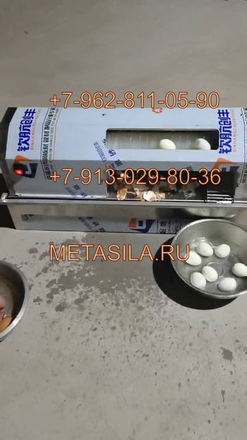 Мини-машина для очистки яиц от скорлупы F17L