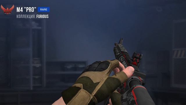 1000019465.mp4