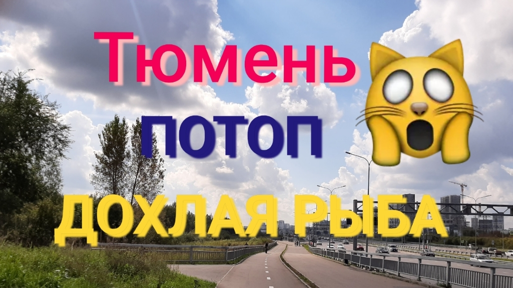 Тюмень. Потоп. Дохлая рыба.