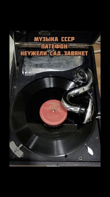 МУЗЫКА СССР ПАТЕФОН НЕУЖЕЛИ САД ЗАВЯНЕТ.