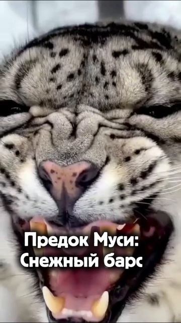 Рейтинг опастности в нашем доме