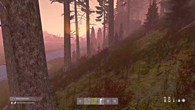 DayZ. Разное.