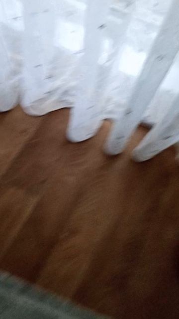 1000000780.mp4