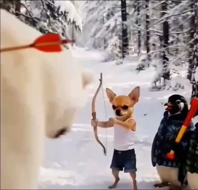 ДРУЖБА ЭТО ЧУДО