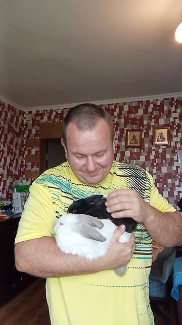 кролики