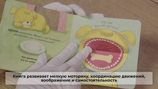 Полезные привычки. Накорми зверят!