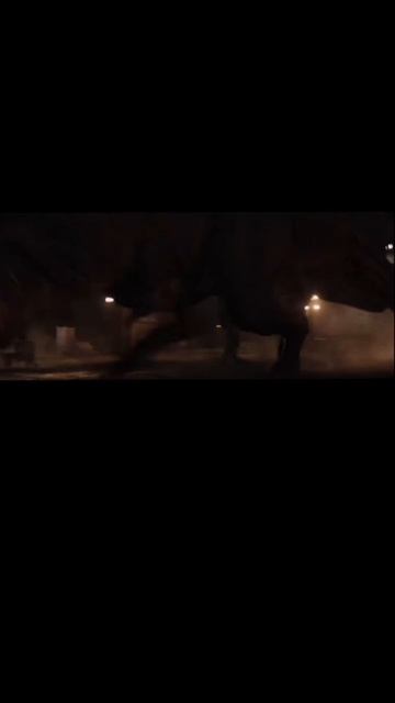 1000027193.mp4